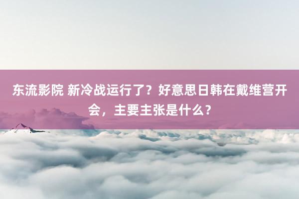 东流影院 新冷战运行了？好意思日韩在戴维营开会，主要主张是什么？