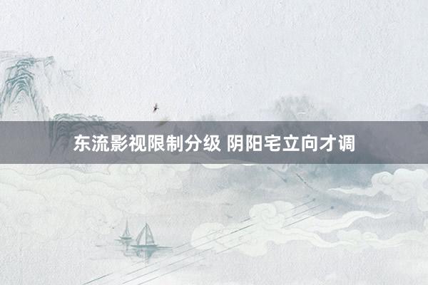 东流影视限制分级 阴阳宅立向才调