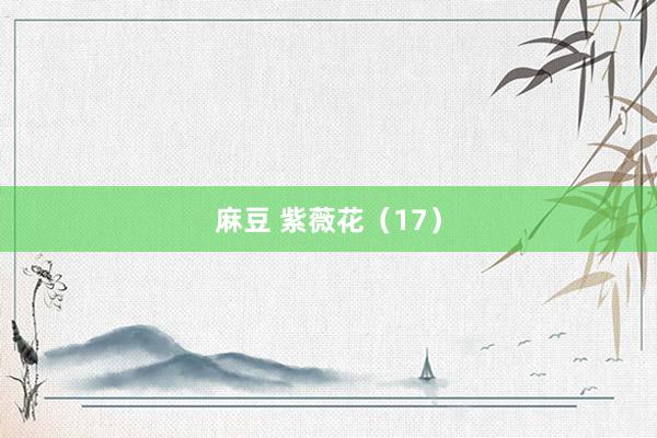 麻豆 紫薇花（17）