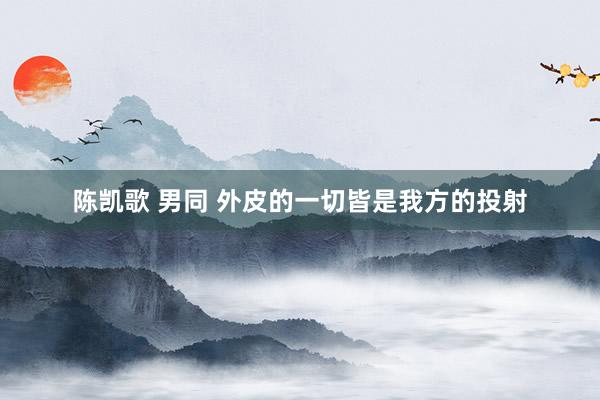 陈凯歌 男同 外皮的一切皆是我方的投射