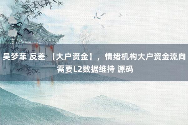 吴梦菲 反差 【大户资金】，情绪机构大户资金流向 需要L2数据维持 源码