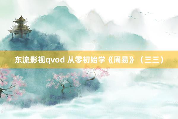 东流影视qvod 从零初始学《周易》（三三）